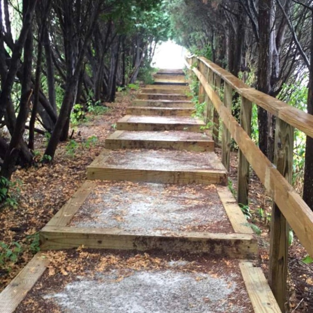 Meet your Posher, Zenah